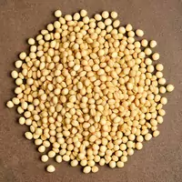 top angle shot of guar seeds spreaded out in a circle.